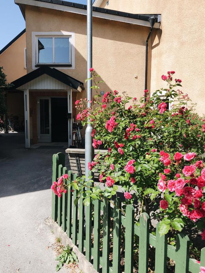 Birkagatan Vandrarhem Hostel Visby Kültér fotó